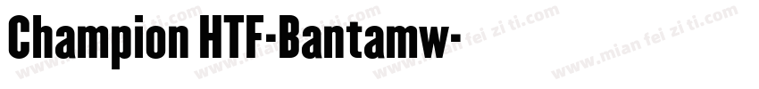 Champion HTF-Bantamw字体转换